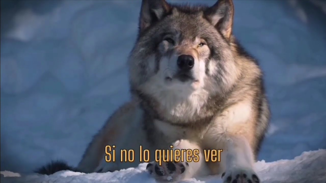 Luna roja - Rupatrupa  (Letra)