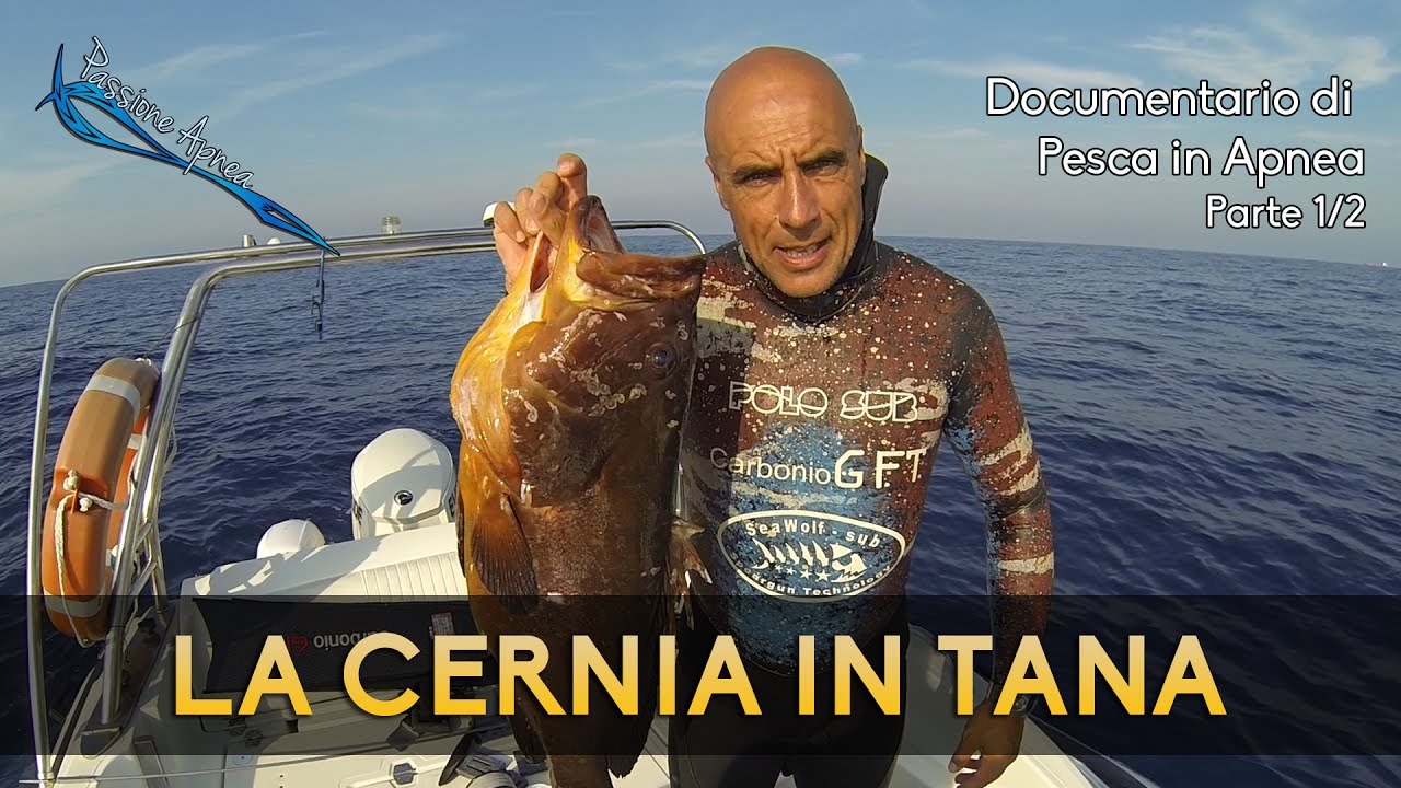 LA CERNIA IN TANA - Documentario con Teddy Sciurti #1