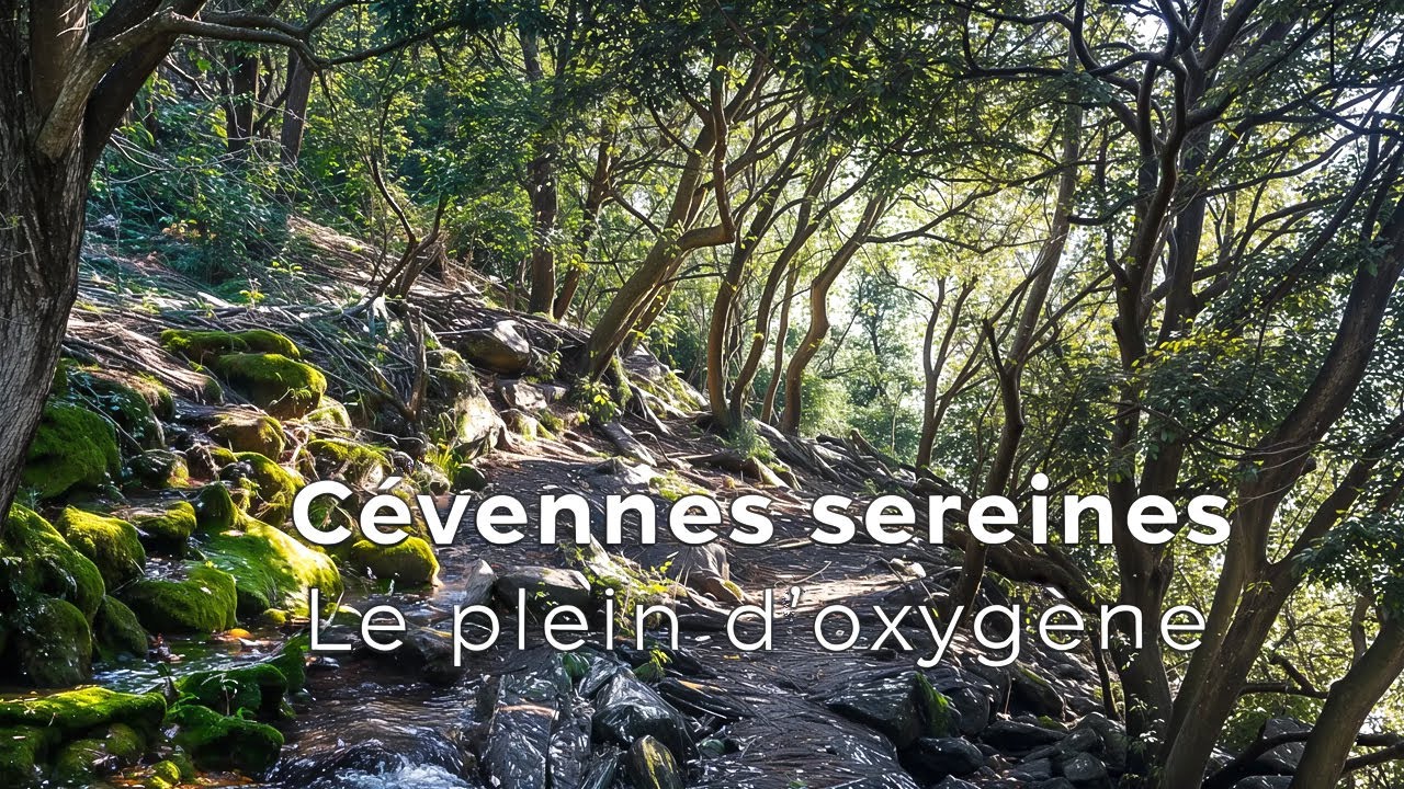 Cévennes sereines : le plein d'oxygène