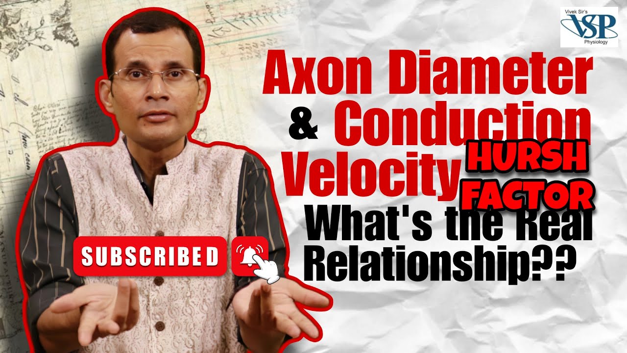 Axon diameter and conduction velocity ~ What's the real relationship? 