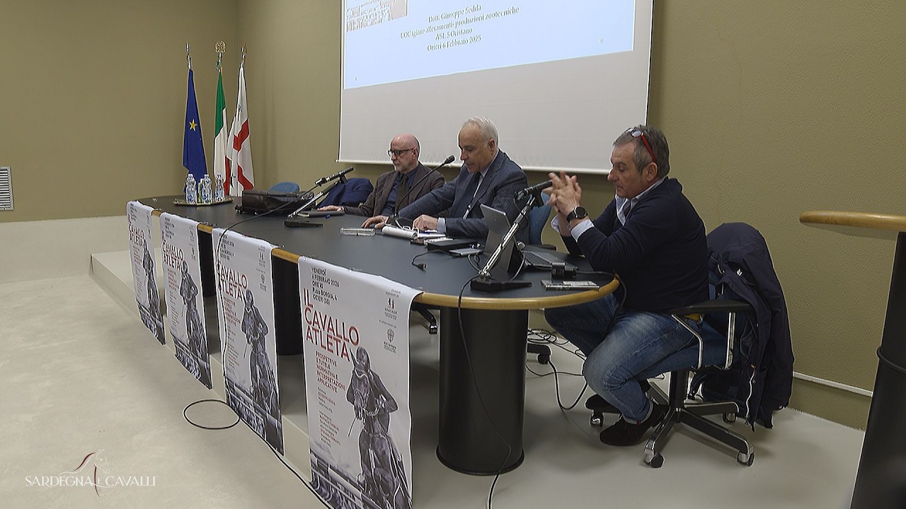 Convegno Il cavallo atleta