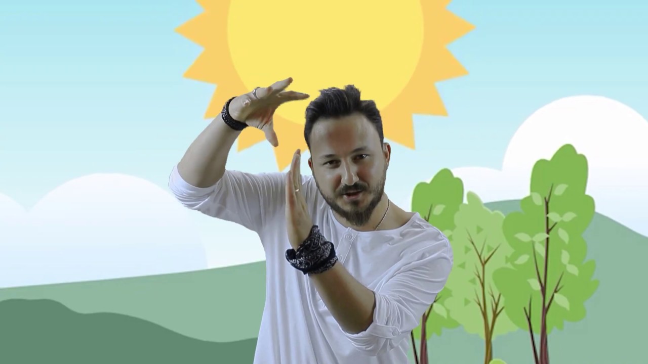 Küçük Kuş 🐦 - OKUL ÖNCESİ ve İLK OKUL ÇOCUK ŞARKISI | Baykuş Çocuk Şarkıları | Burak Onurlu