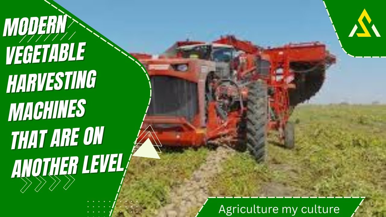 Modern vegetable harvesting machines that are next level #Agriculturemyculture