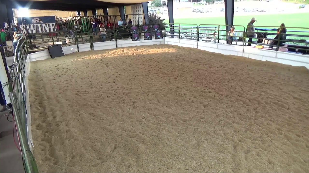 Summit County, Utah Fair 2024
