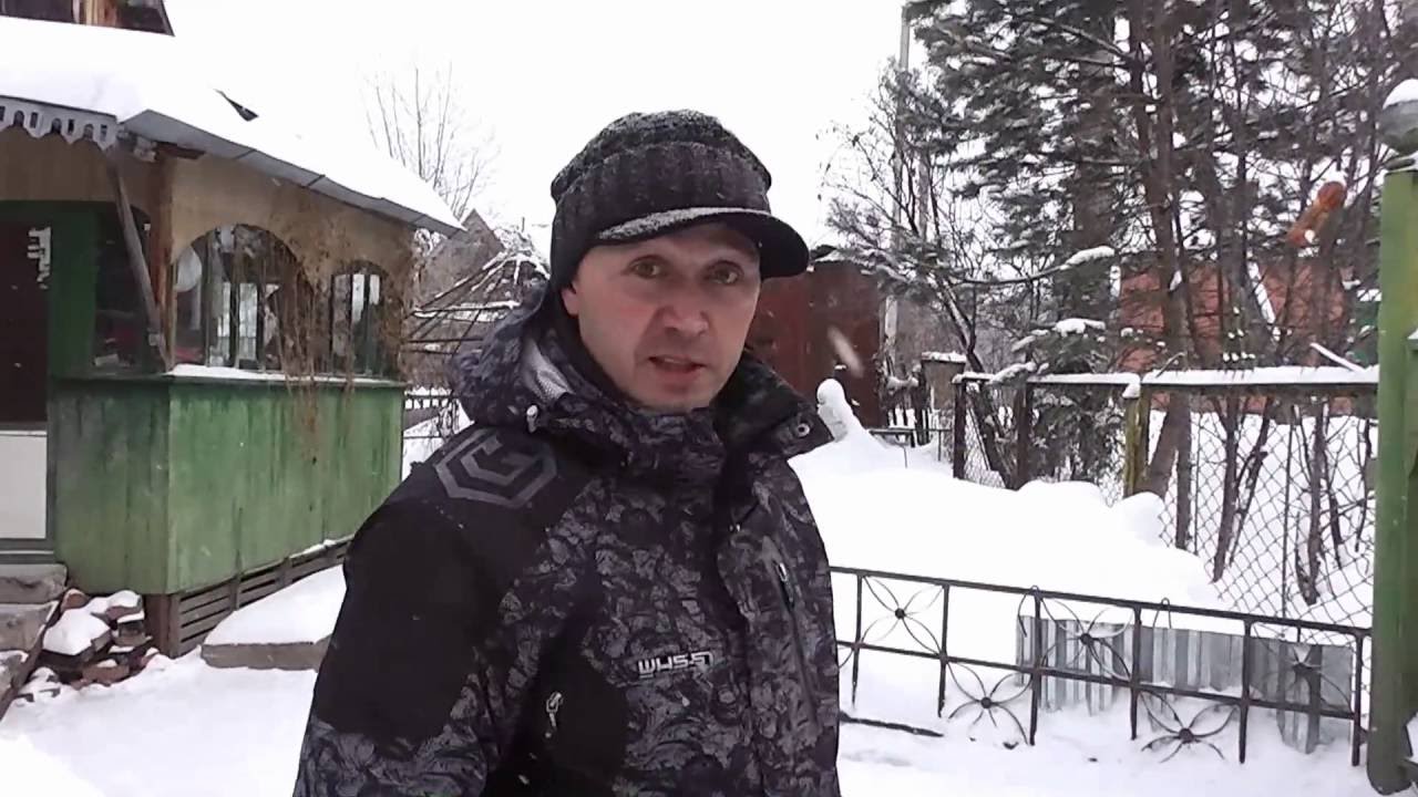 я и мой хвост. команда 