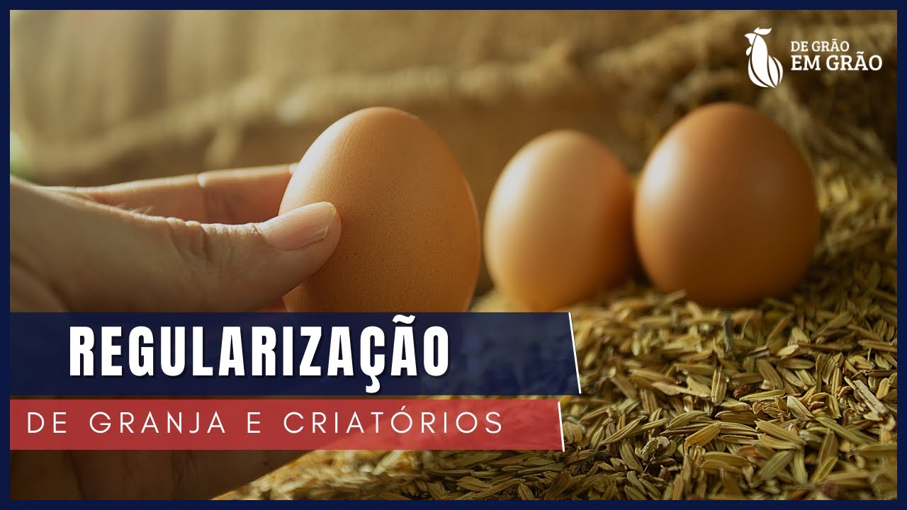 Regularização de Granja: Passo a Passo para o SUCESSO com suas GALINHAS | E31