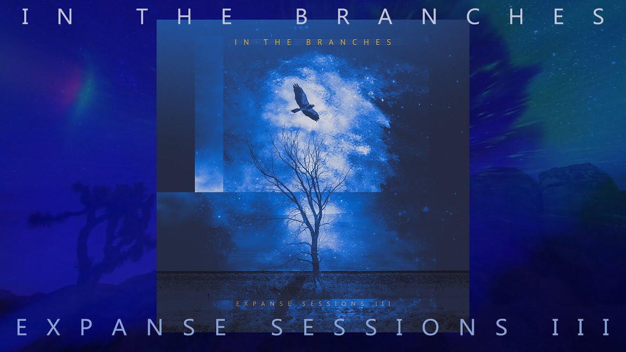 In The Branches - Expanse Sessions III (Full Album) 4K Ambient Guitar Music