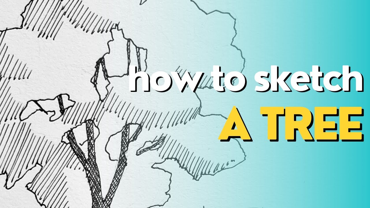 How to sketch a tree