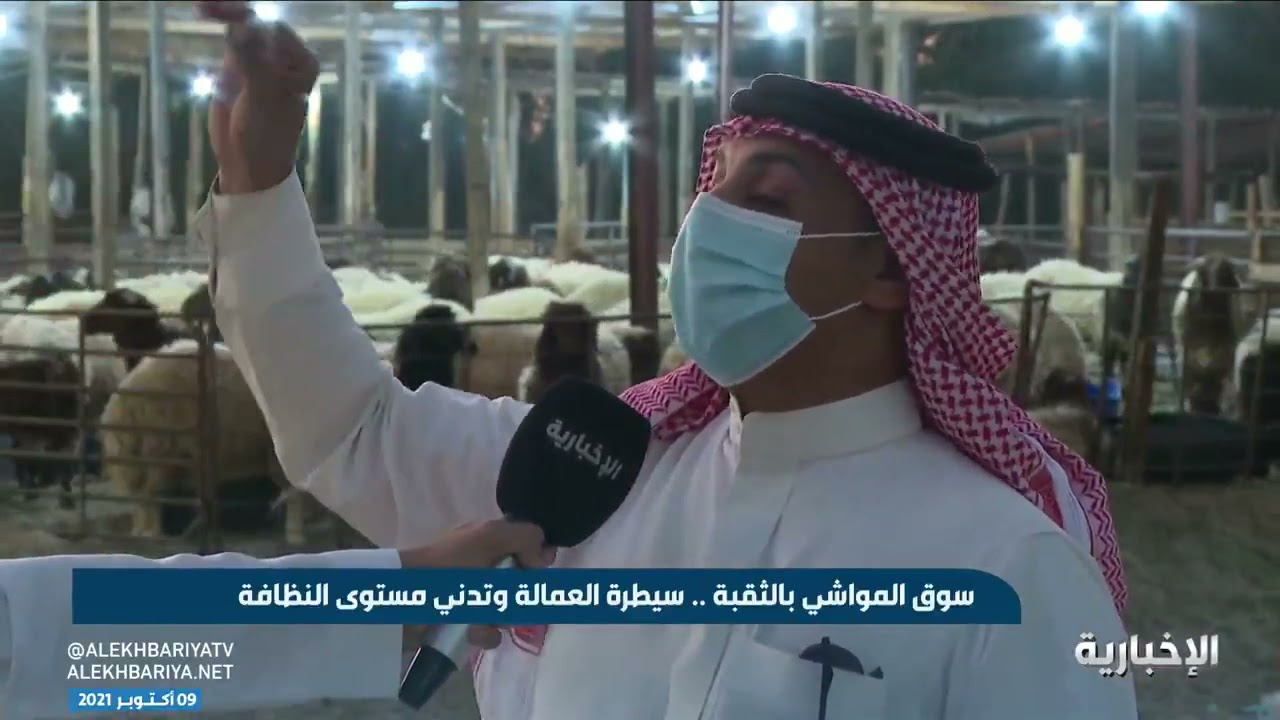 السوق المواشي في الثقبة.. سيطرة العمالة وتدني مستوى النظافة