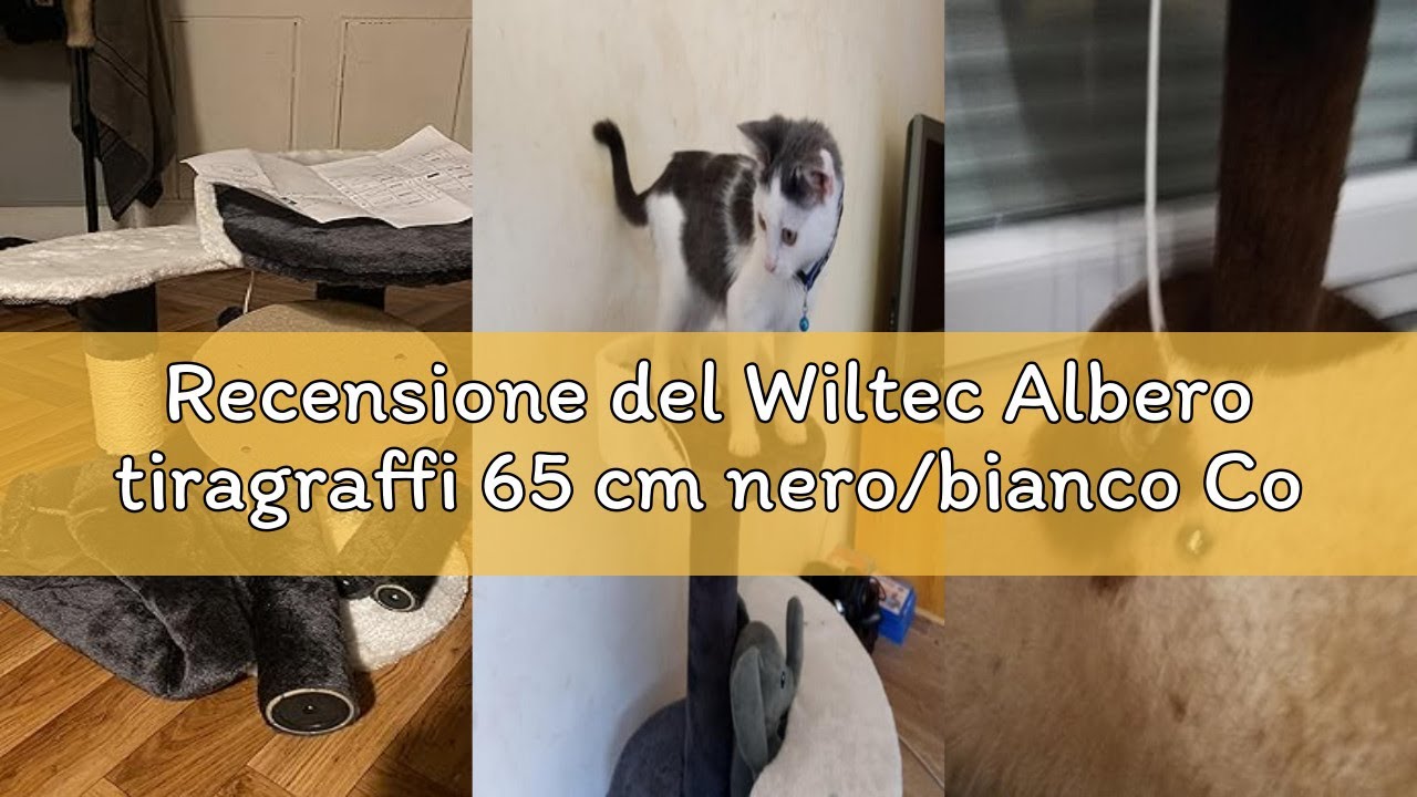 Recensione del Wiltec Albero tiragraffi 65 cm nero/bianco Con sisal, piattaforma, nicchia e pallina