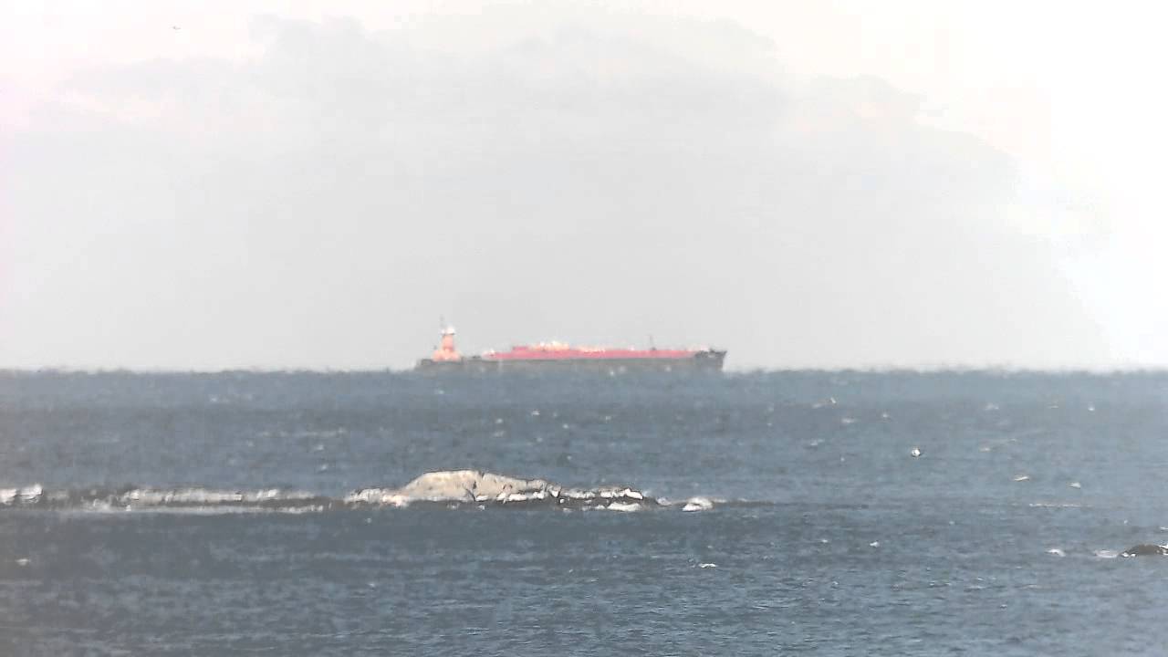 Minots Ledge Lighthouse until sunset (no sound)