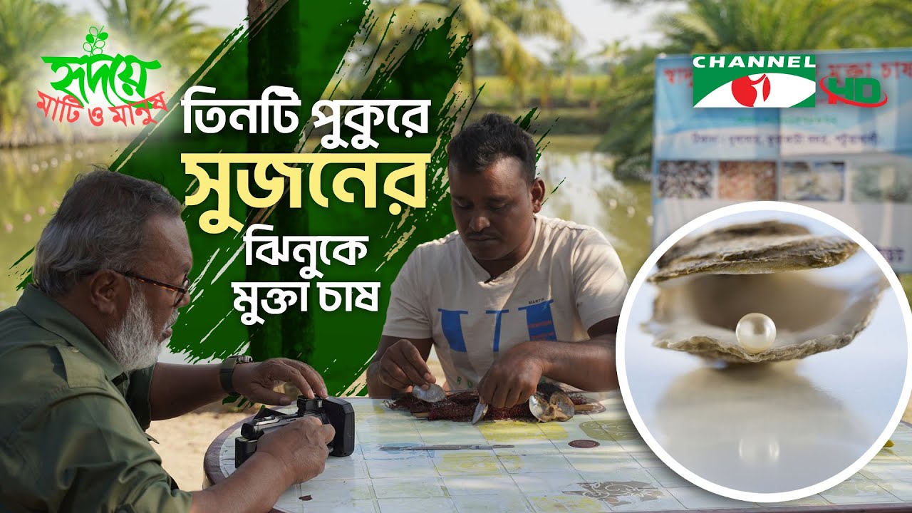 পটুয়াখালীর ধুলাসার গ্রামে সুজন হাওলাদারের মুক্তা চাষ | Shykh Seraj | Channel i |