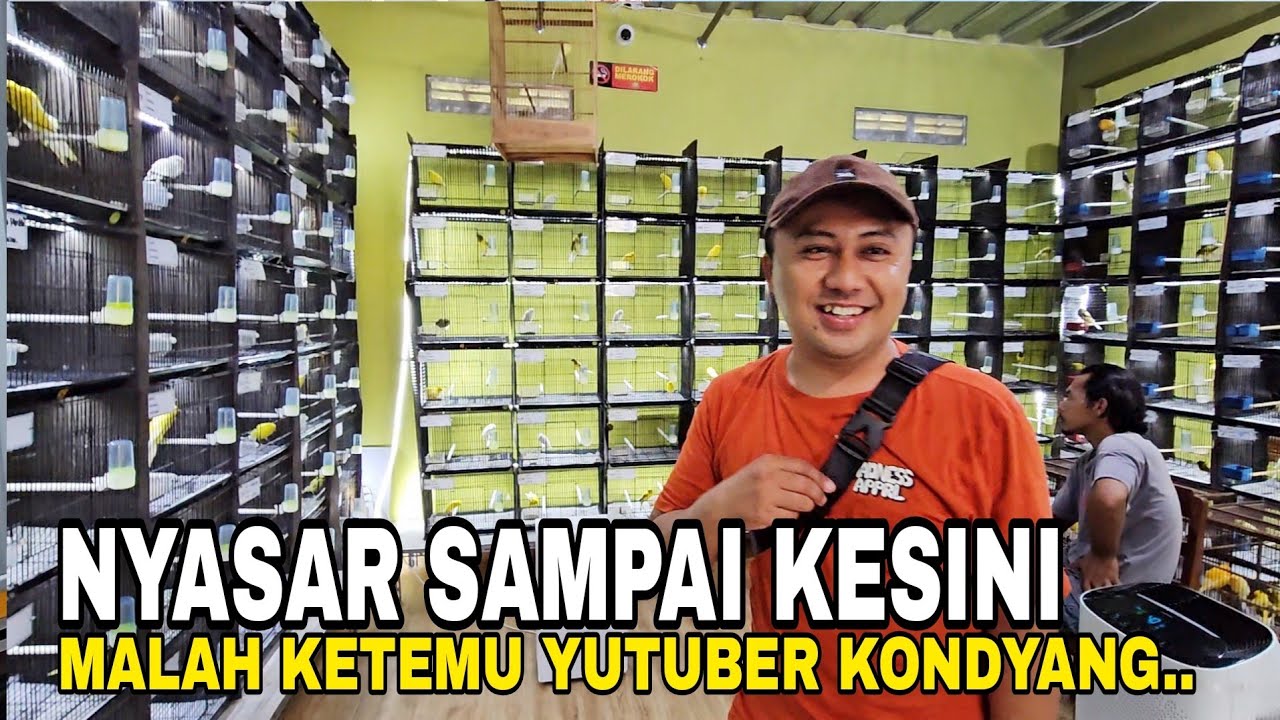 TERNYATA MEWAH