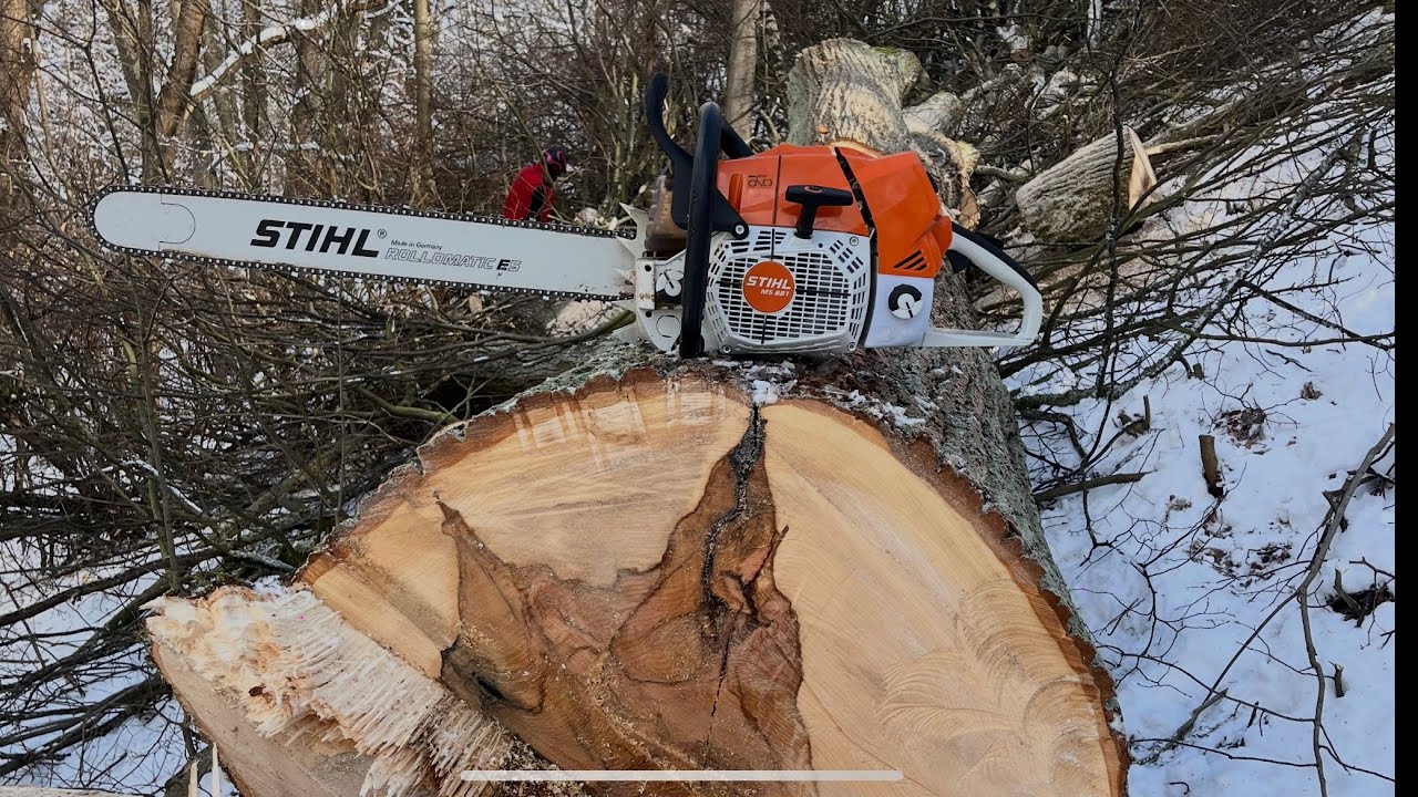 STIHL MS 881 a obrovská lípa nad domem, prasklá až k zemi, plná hřebíků.