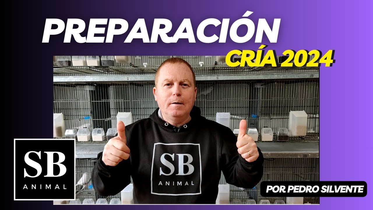 PREPARACI&Oacute;N CR&Iacute;A 2024
