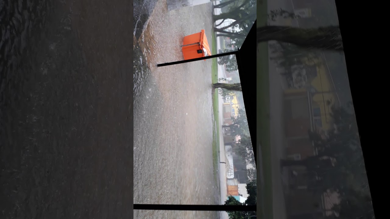 Avenida  princesa  do oeste  campinas sp