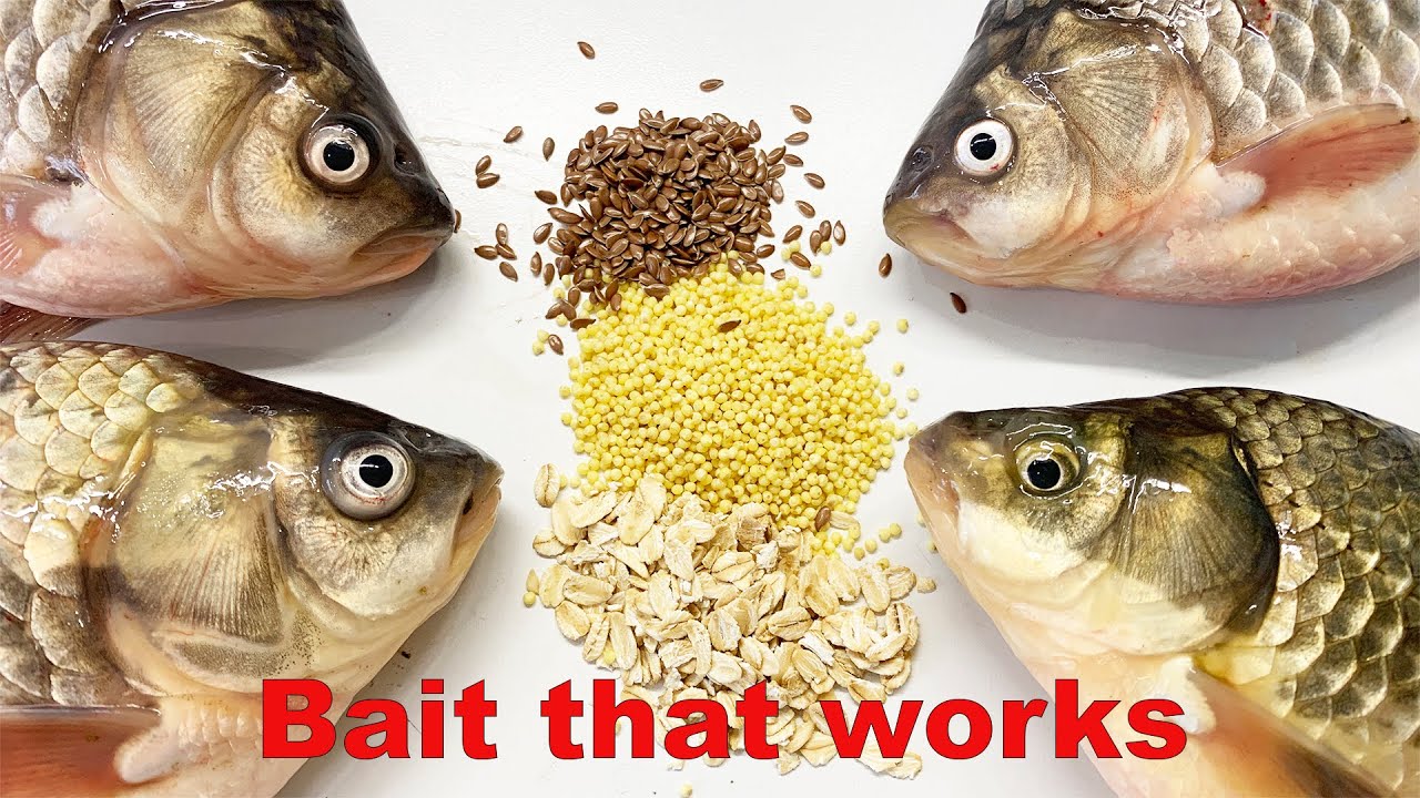 Bait that works!!! Ideal for crucian carp!