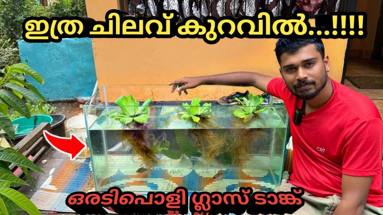 ഒരു അക്വാറിയം വാങ്ങുന്ന ചിലവിൽ രണ്ടെണ്ണം വീട്ടിൽ ഉണ്ടാക്കാം 🤩...| DIY glass aquarium making at home