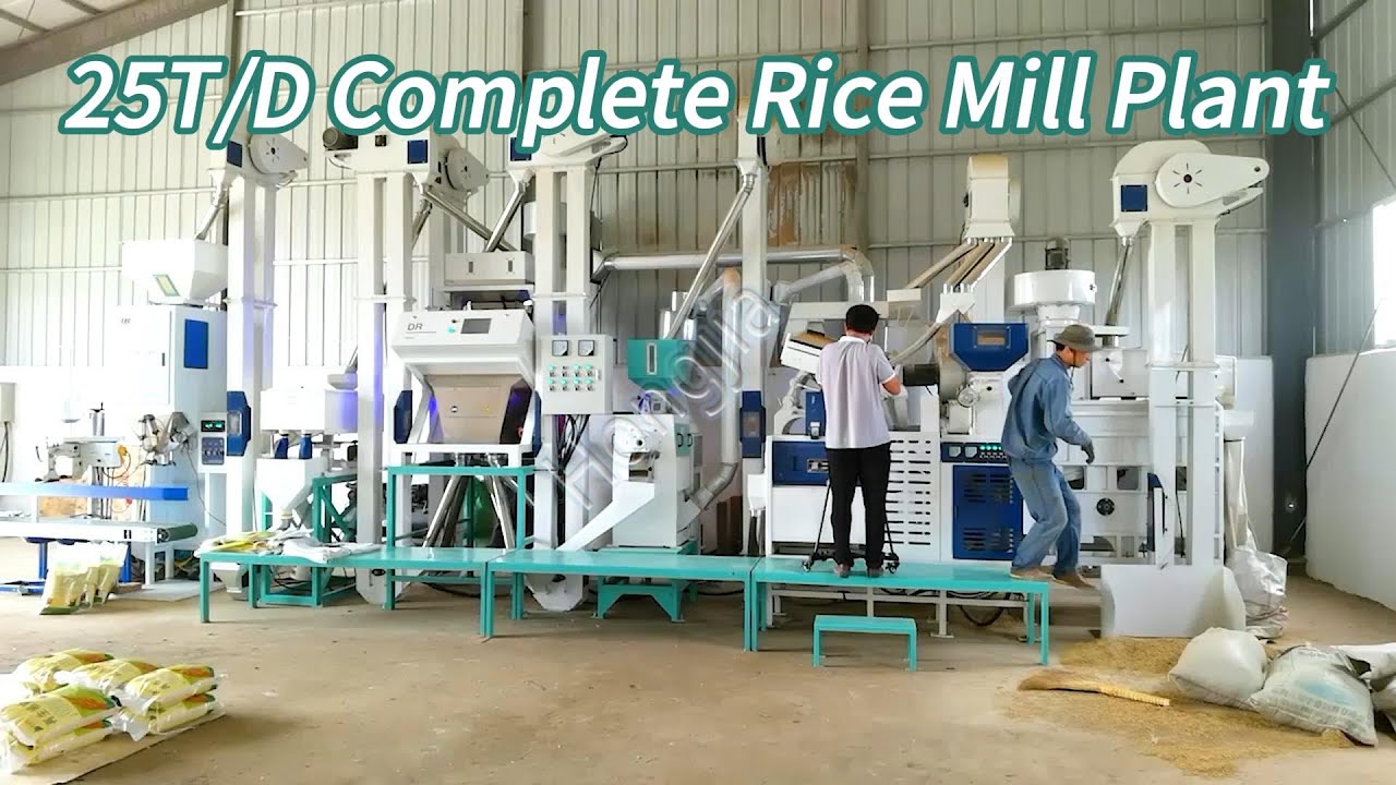 25T/24h Automatic Rice Mill Plant | Complete Rice Mill Project for sale #ricemillsupplier #ricemill