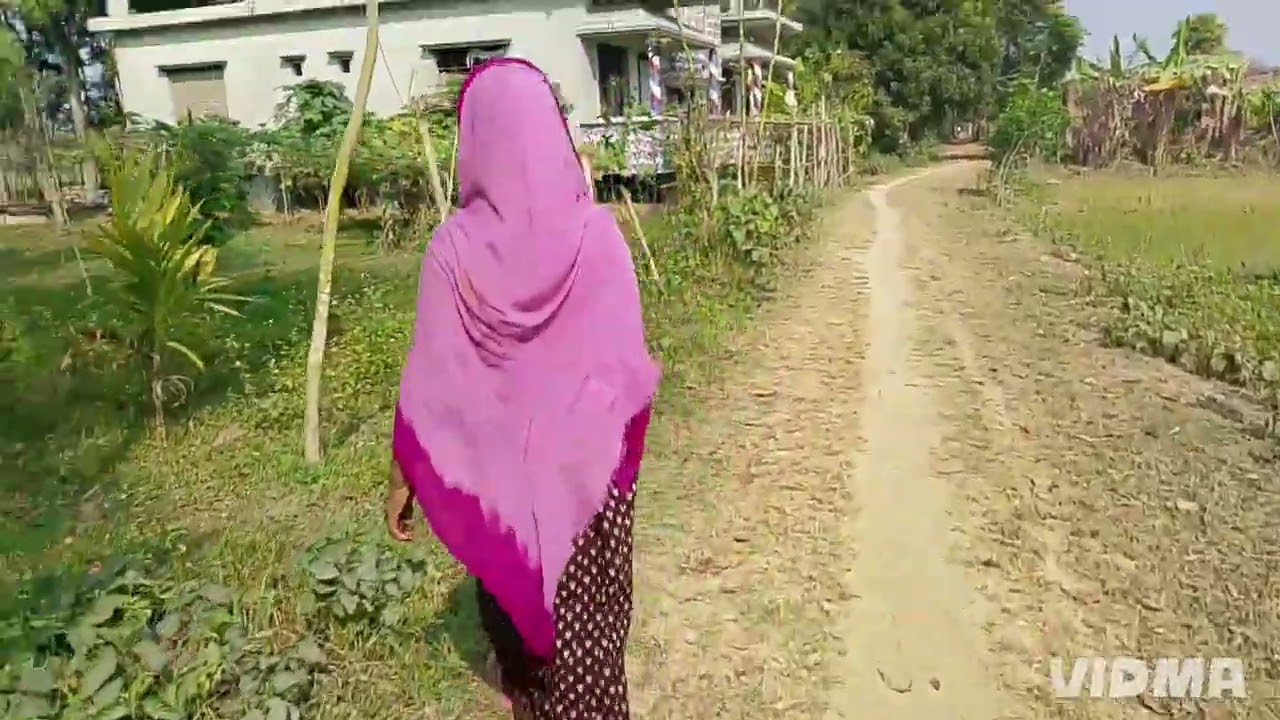 আজকে ময়নার নানি অনেকগুলো শাক তুলে আনছে 