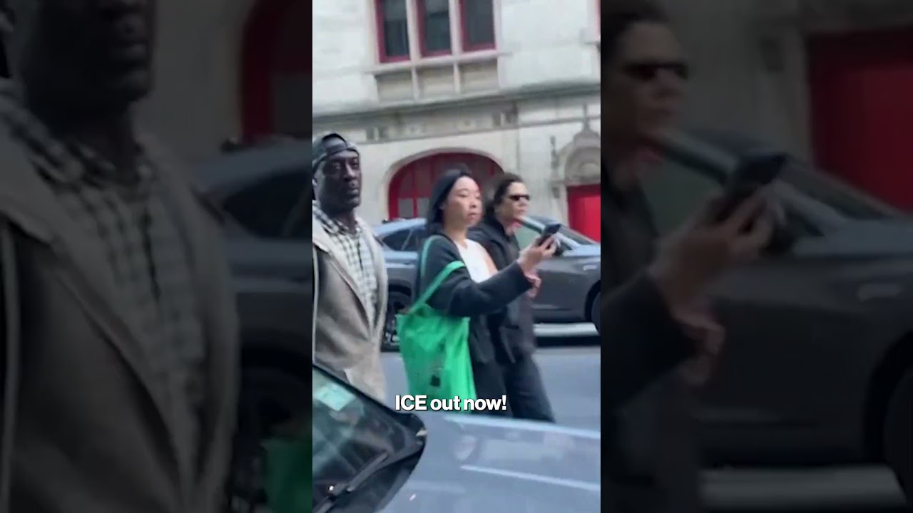 ICE Agents Clash with Enraged New Yorkers During Chinatown Operation #shorts