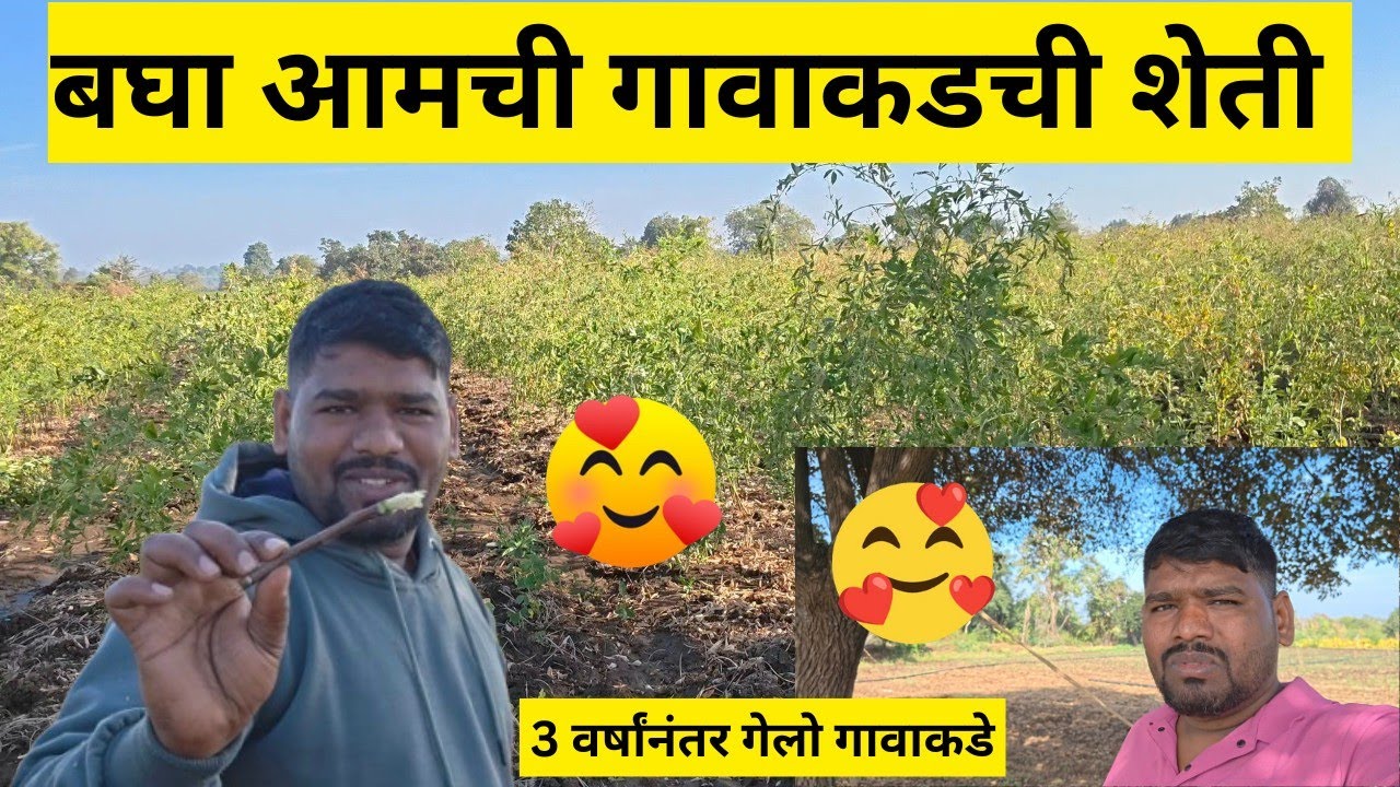 आमची गावाकडची शेती || 🥰😍 || Full Vlog Marathi || #pritiswapnilvlog #vlogs #villagelife 