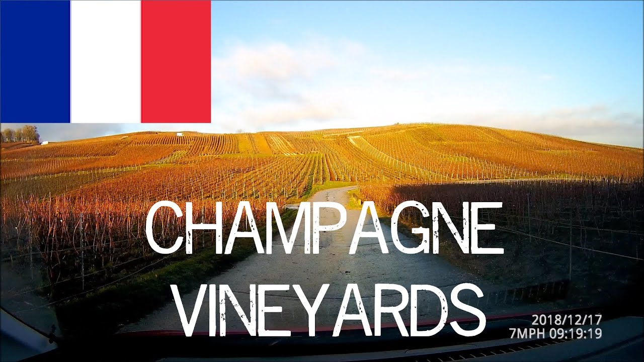 Driving in France - Champagne vineyards and countryside