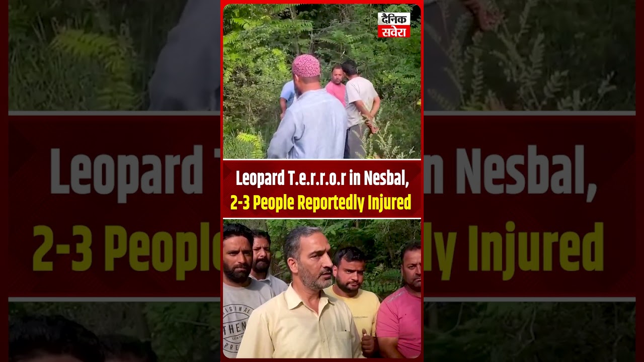 Nesbal Residents Fear Leopard A.t.t.a.c.k.s, Two Leopards Spotted as Wildlife Department