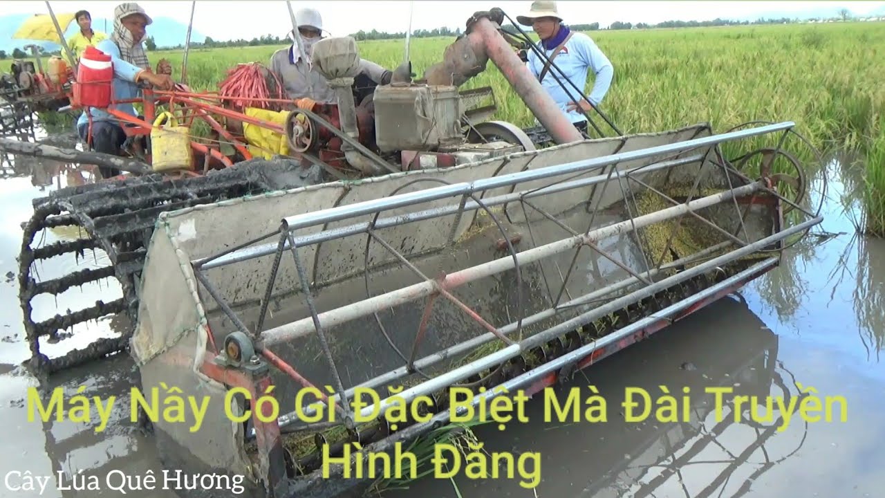 Nông Dân Tự Chế Chiếc Máy Thu Hoạch Lúa Chét Sài Được 3 Nông Cụ LH0985130259