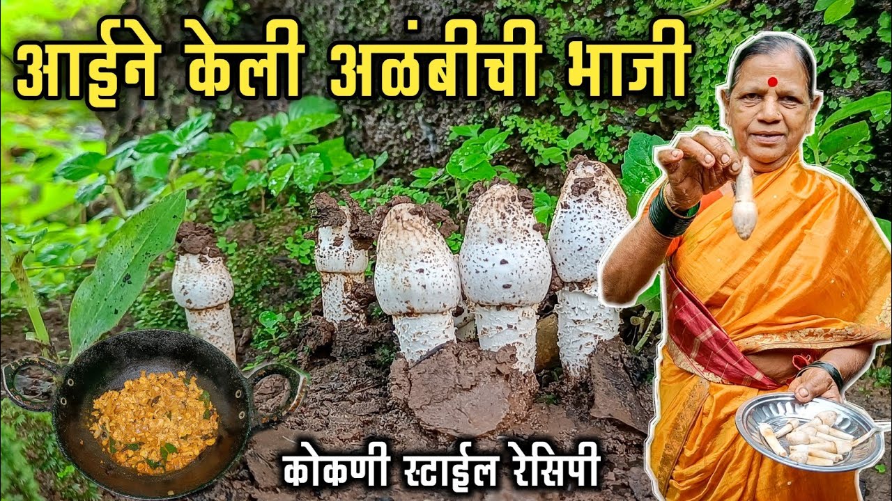 जंगलातील अळंबी काढून आईने केली भाजी 😋|अळंबीच्या कळ्या कशा काढतात ?|Forest Mushroom Recipe