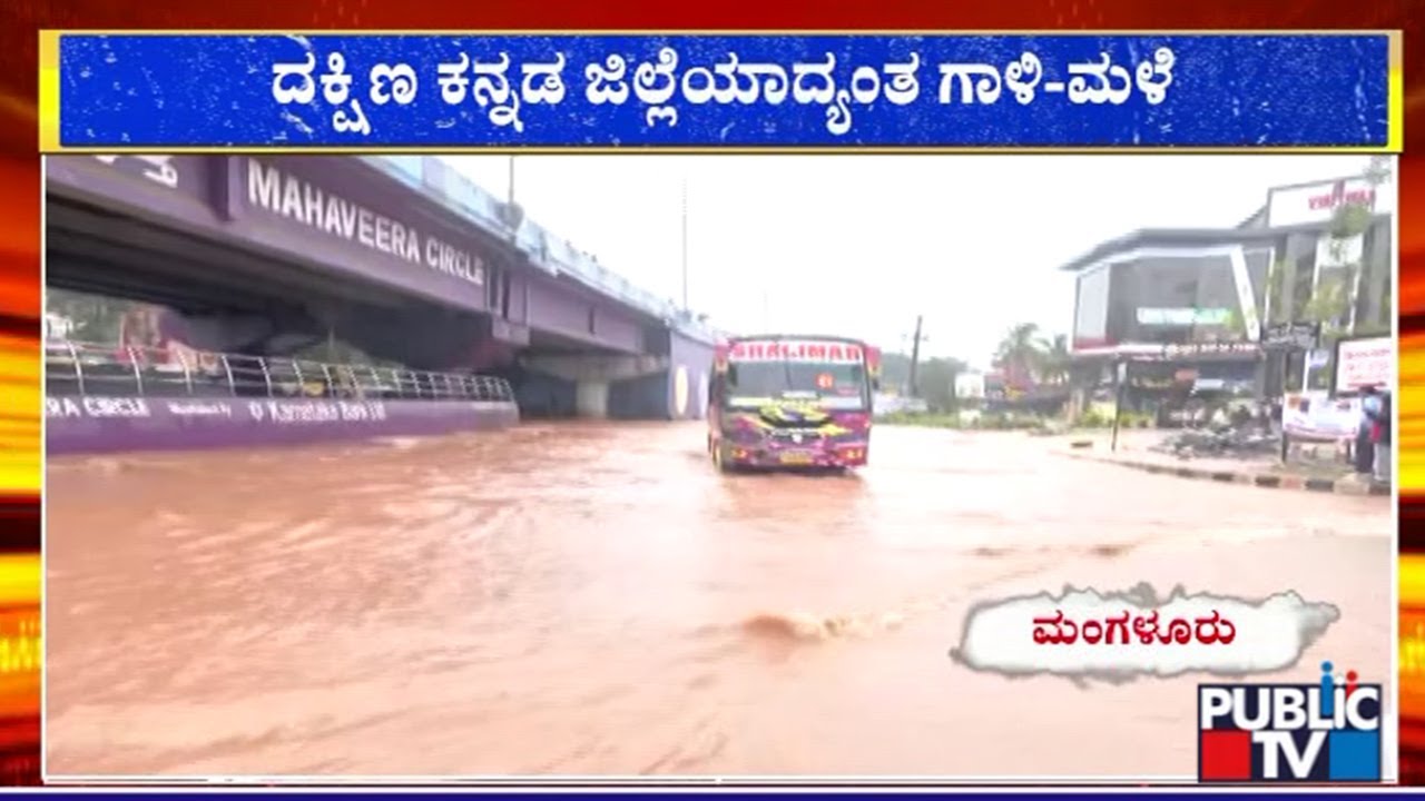 ದಕ್ಷಿಣ ಕನ್ನಡ ಜಿಲ್ಲೆಗೆ ಆಗಮಿಸಿರುವ  NDRF | Heavy Rain In Mangaluru | Public TV