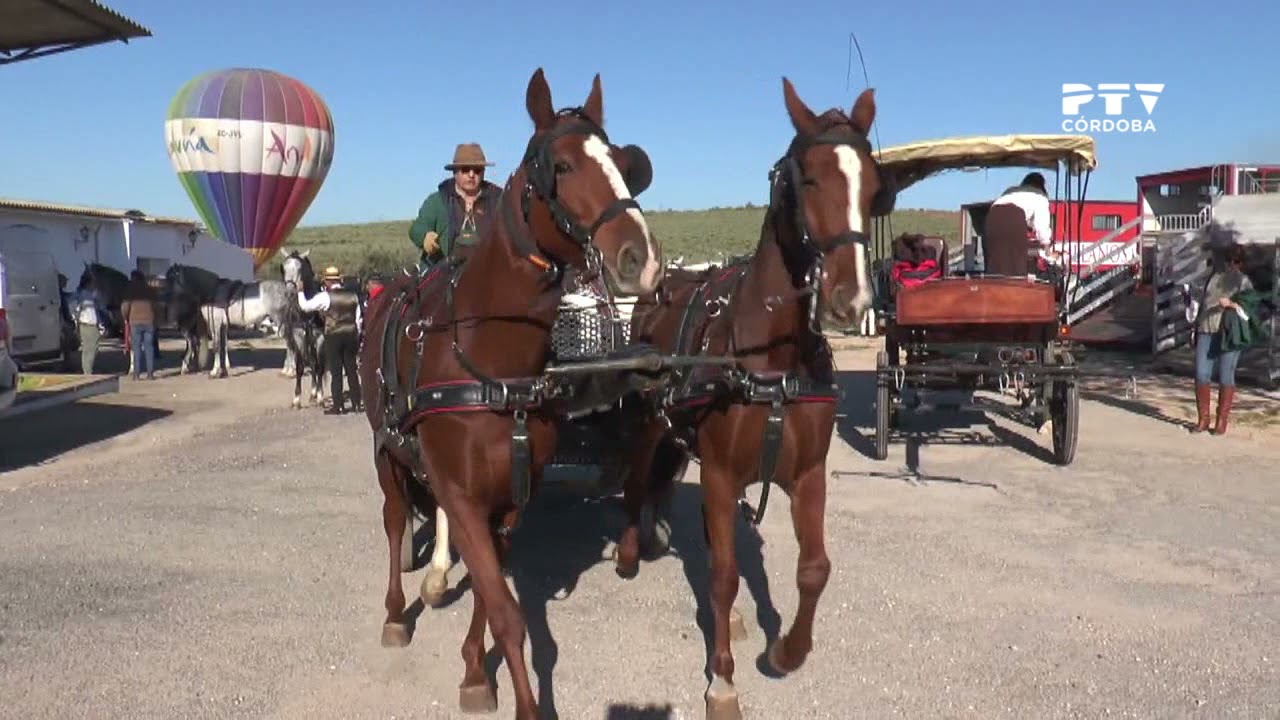 Así transcurrió la I Ruta Los Lagares en Coche de Caballos de Montilla-Moriles