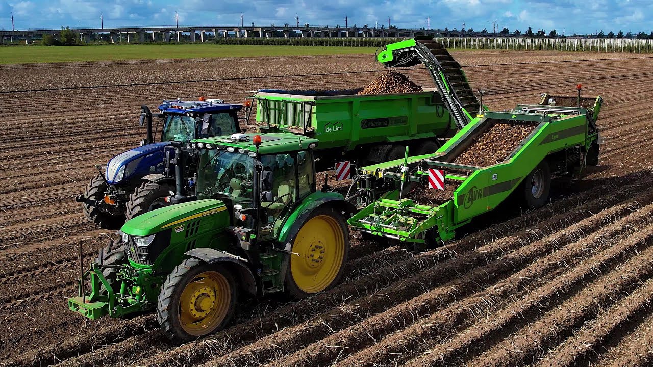 Aardappels rooien | Potato harvest | AVR Lynx | AVR Puma | John Deere |  Aardappeloogst 2022