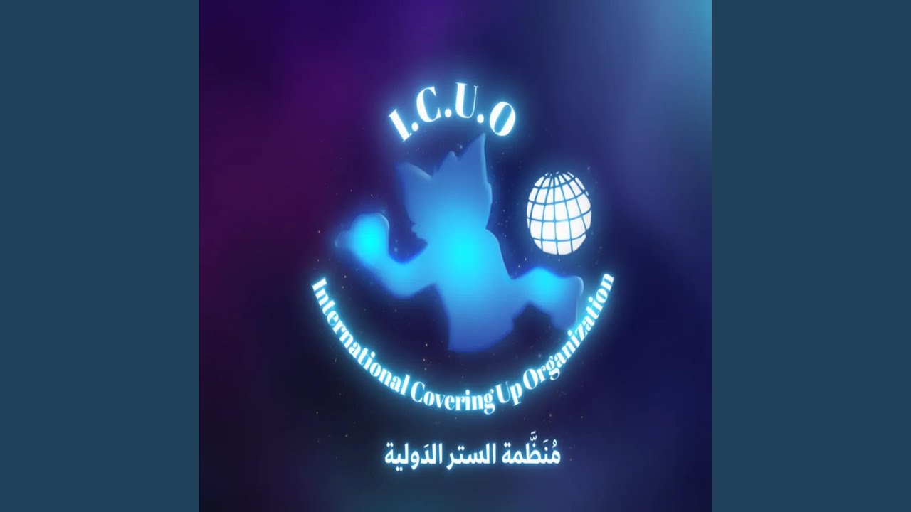 منظمة الستر الدولية