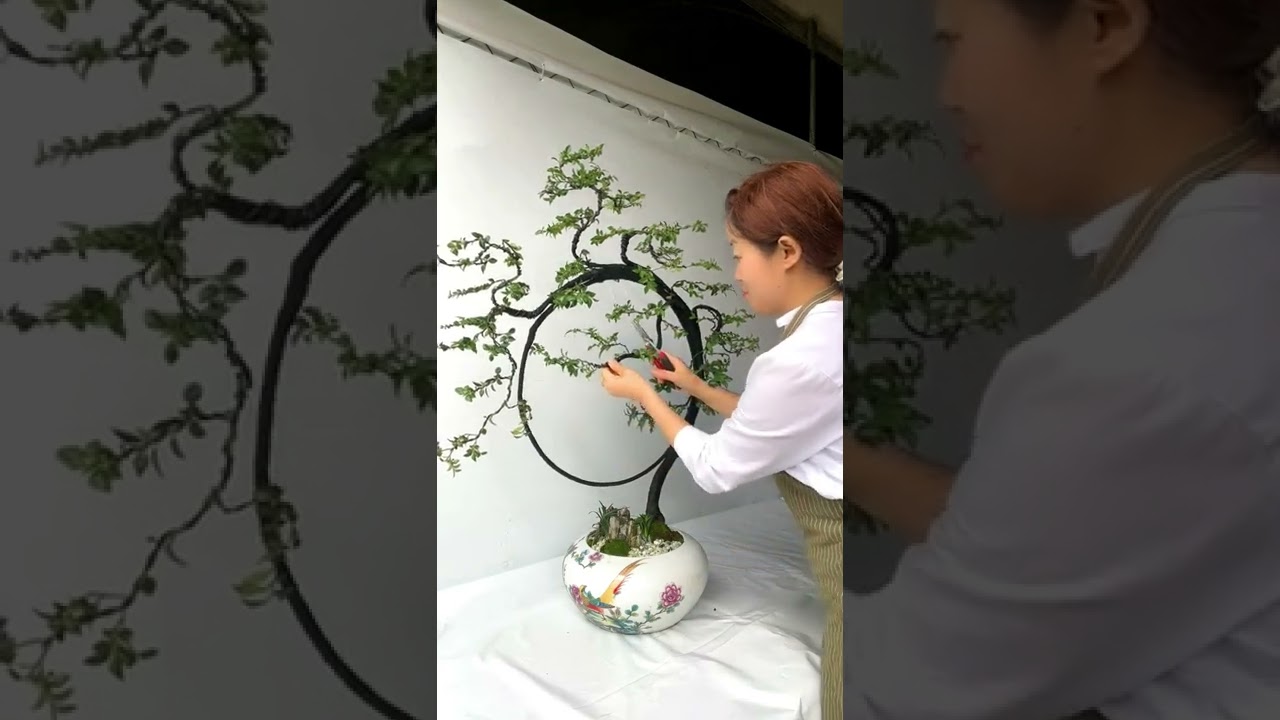 &Yacute; tưởng bonsai hay (T&ugrave;ng đen) #Shorts