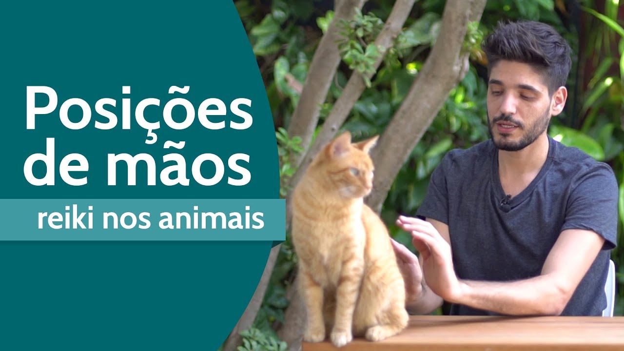 Posições de mãos - reiki para os animais
