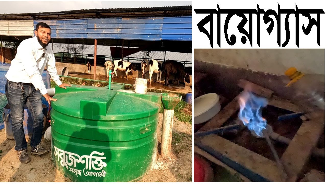 সবুজ শক্তির বায়োগ্যাসের ড্রাম কেন গর্ত থেকে উঠে আসলো।
