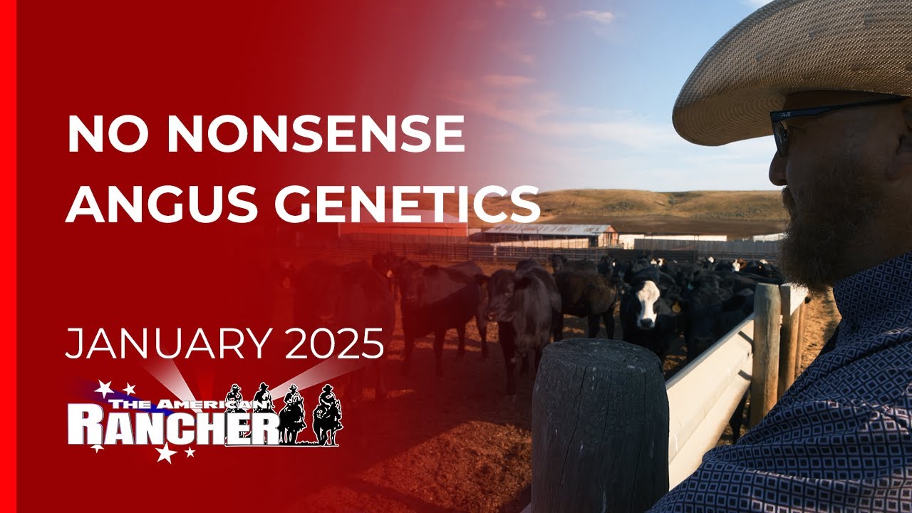 Felton Angus Ranch | The American Rancher | 01-13-25