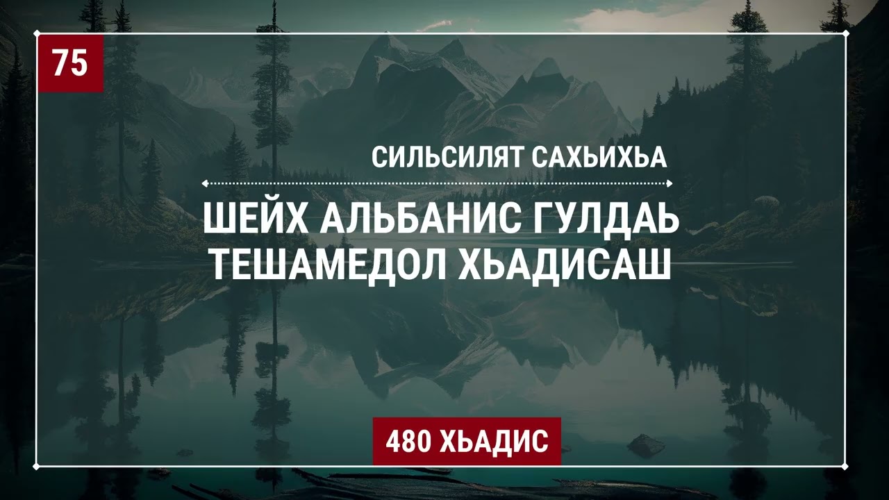 Сильсилят сахьихьа (Шейх Альбанис гулдаь тешамедол хьадисаш) (3/480). Ибрахьим