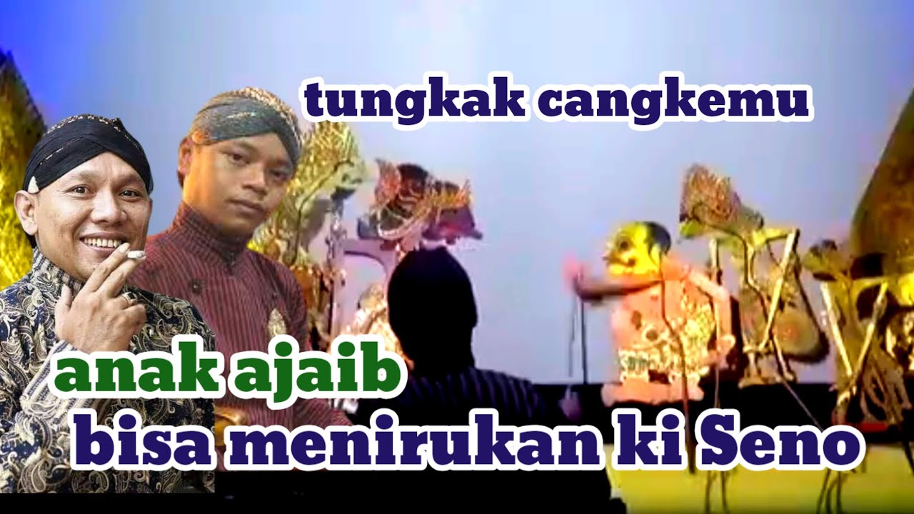 Anak ajaib bisa menirukan dalang Seno nugroho