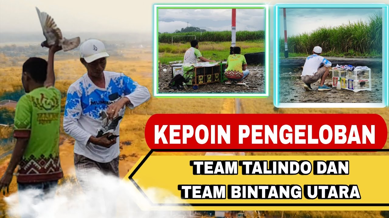 🔴KEPOIN PENGELOBAN TEAM BINTANG UTARA DAN TEAM TALINDO DI EVENT NEW AYLA LAPAK ANGKASA JETAK KIDUL ❗