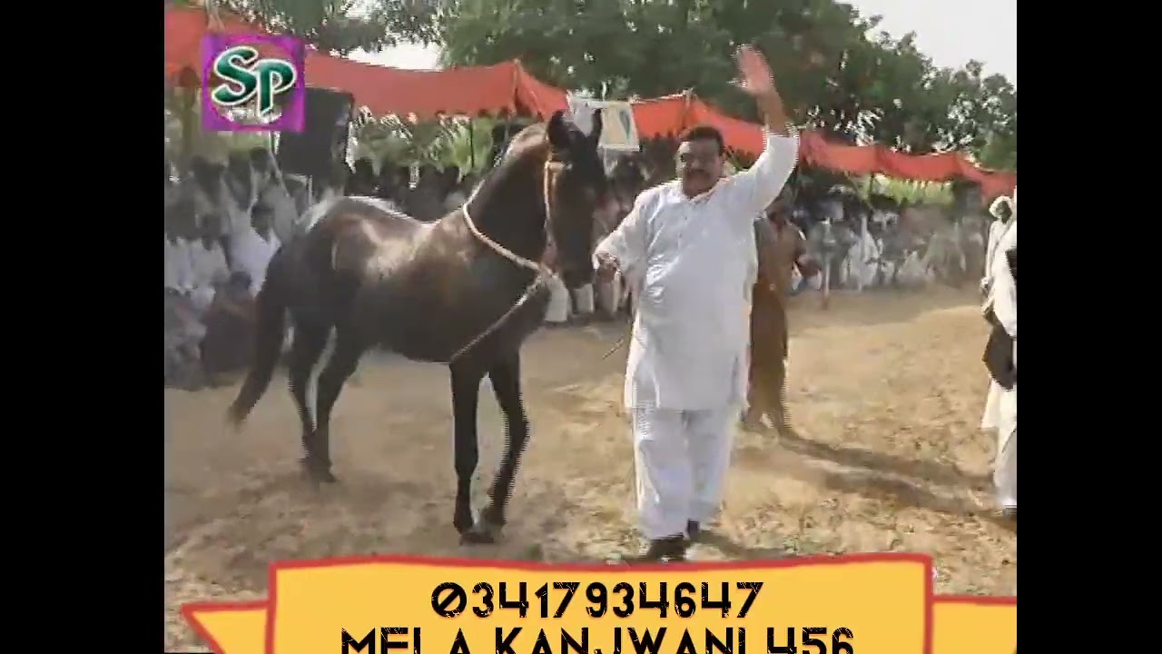 Horse dance.Ghoda naach.Mela kanjwani.Peer pappu Shah quraiahi.456