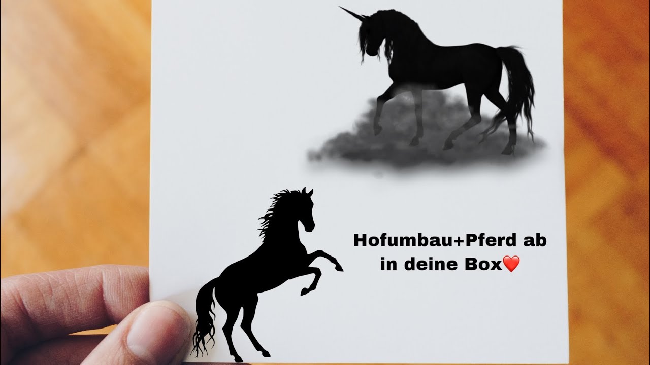 Hofumbau+Pferd ab in deine Box ❤️🥰