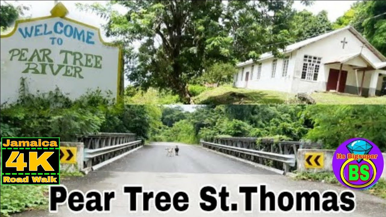 Pear Tree River - Community / Hidden Jem / Port Morant St.Thomas Jamaica. 🇯🇲