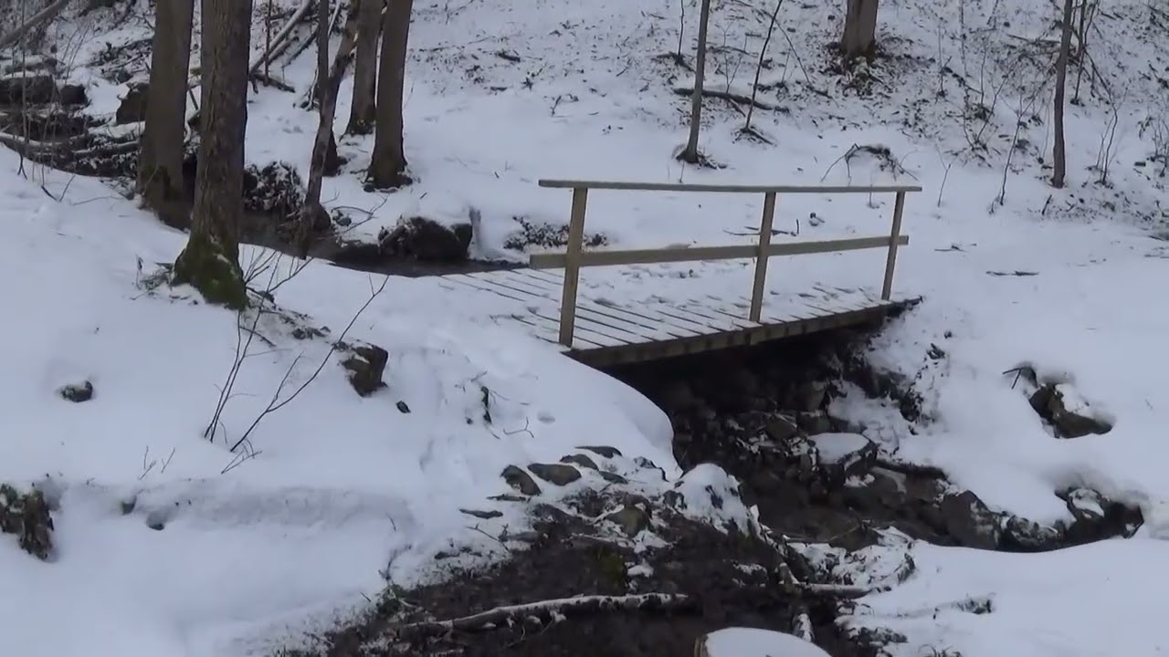 Chittenango Falls State Park Chips Trail...1-12-2026