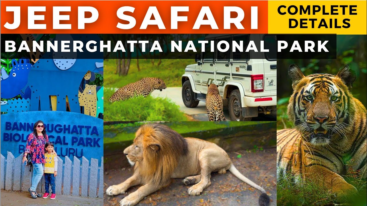 Bannerghatta National Park | Day outing in Bengaluru | Jeep Safari, Zoo Tour | Bangalore Day Trip