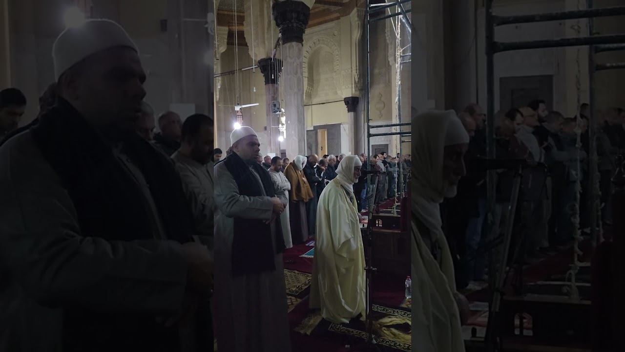 فضيلة الشيخ سعيد عبد الواحد سورة ال عمران ٤