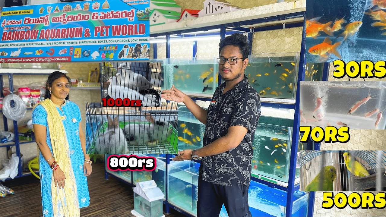 Budget friendly pets&aquarium store rainbow aquarium&petworld.