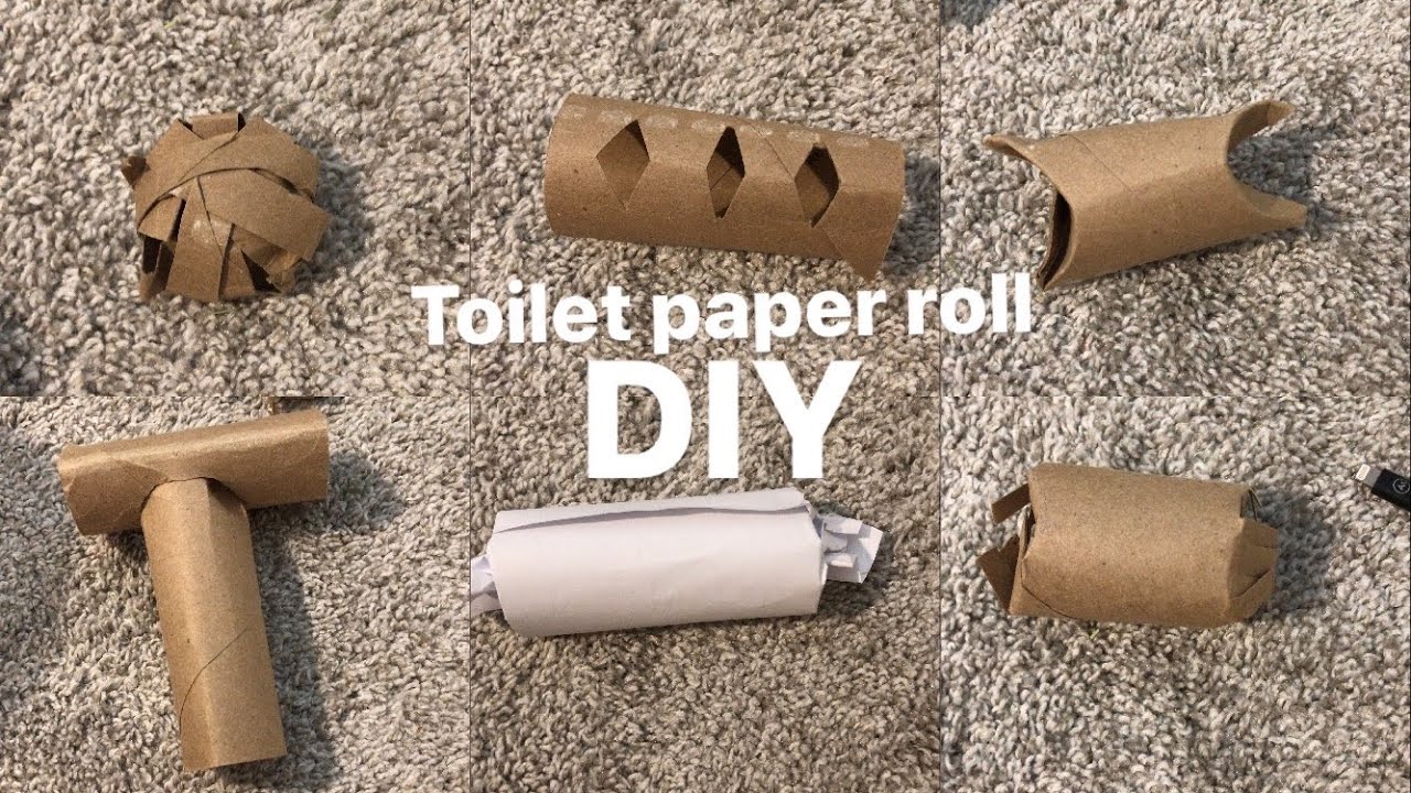 Toilet paper roll DIYs | hamster diy
