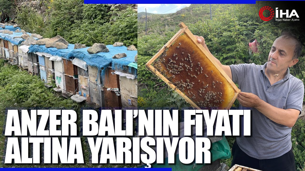 Anzer Balı'nın Bu Yıl Kilogram Satış Fiyatı 4 Bin TL Oldu